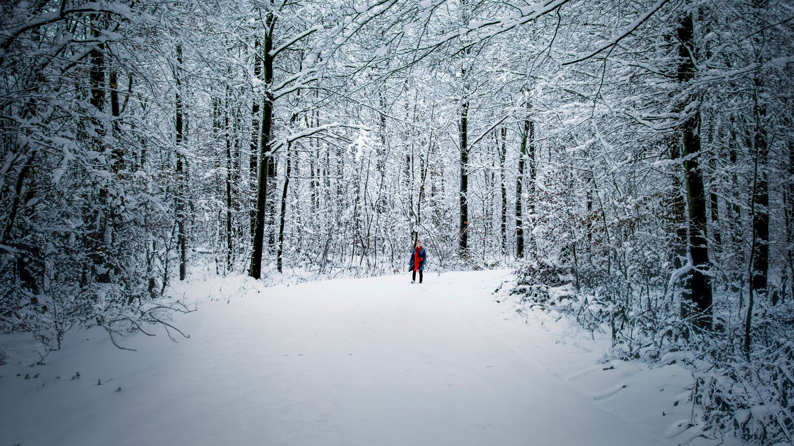 Jul på Lolland-Falster