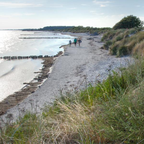 Familie går på strand