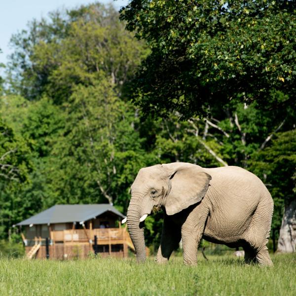 Knuthenborg Safaripark