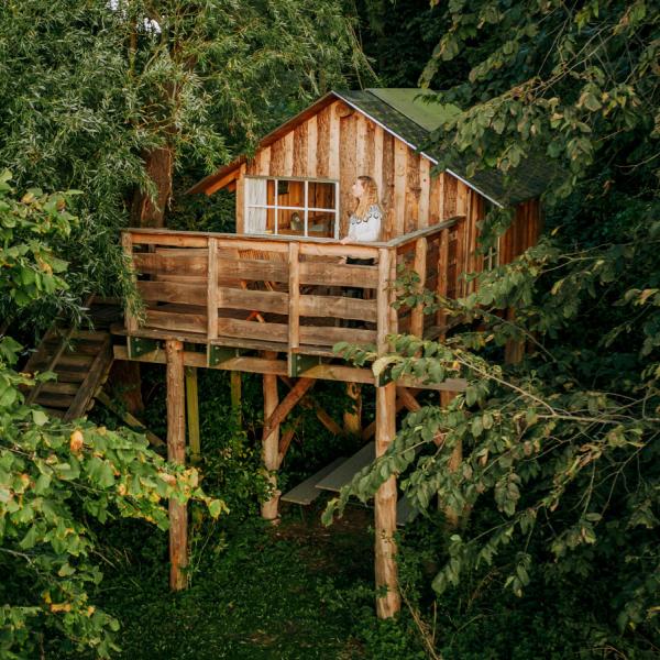 Treehouse B&B