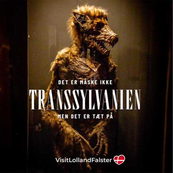Tæt på Lolland-Falster Museum Obscurum