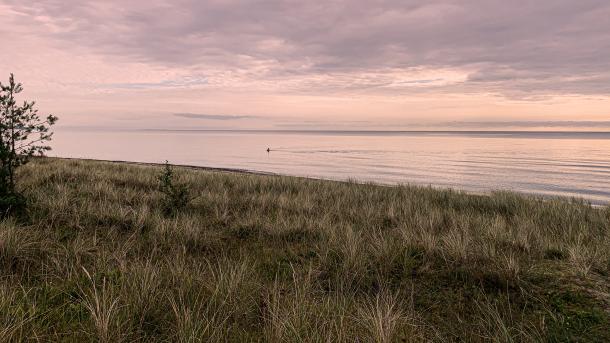 Marielyst strand
