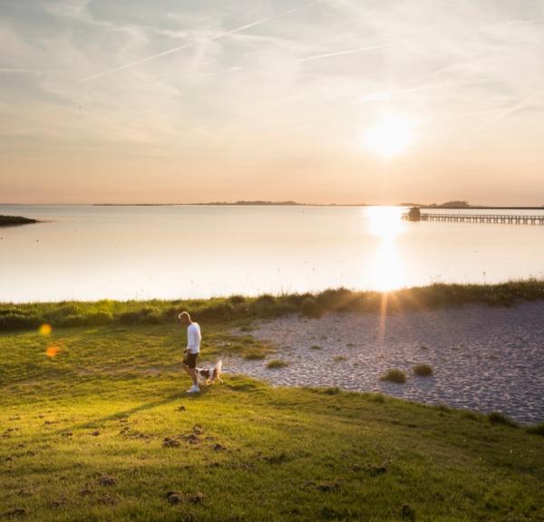 Naturpark Nakskov Fjord Hestehoved ved solnedgang