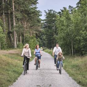 Familie cykler sommer