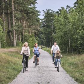 Familie cykler sommer