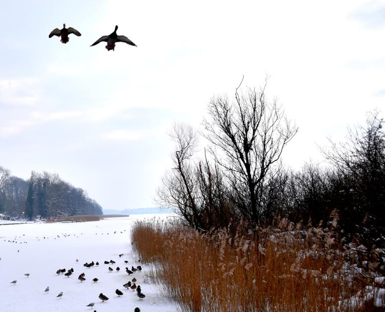 Naturpark Maribosøerne