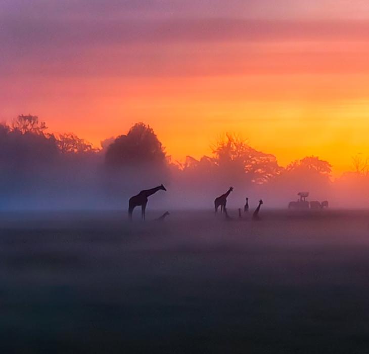 Knuthenborg Safari