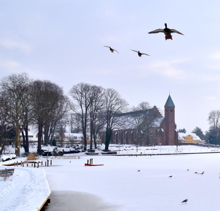 Maribo Domkirke